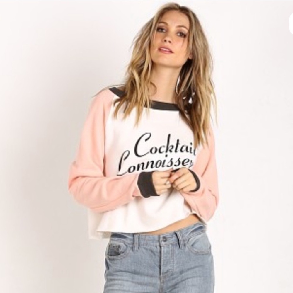 Wildfox Pink White Grey Cocktail Connoisseur Crop Long Sleeve Sweater Small
